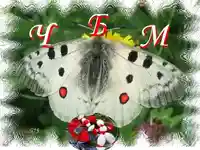 ЧЕСТИТА БАБА МАРТА!