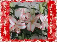 Честита Пролет! Баба Марта!