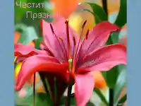 Чести Празник. Цветница.