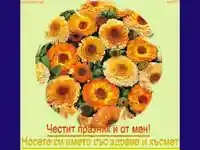 Цветница - феерия от неувяхващи цветя!