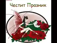Цветница Нежна Изискана!