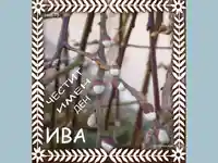 Цветница. Поздрав за Ива!