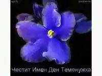 Цветница. Поздрав за Теменужка!