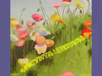 Цветница. Рисувана картичка!