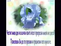 Ирис по Цветница!