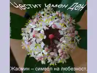 Поздрав за Цветница - Жасмин!