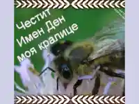 Поздрав за любимата.