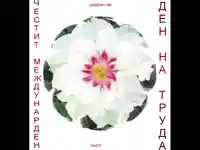 Ден на труда