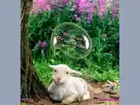 Честит Гергьовден