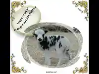 Честит Гергьовден