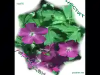 Честит Гергьовден