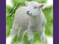 Гергьовден  Честит Именден