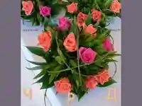 Честит Рожден Ден