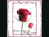 Честит Рожден Ден  любов моя