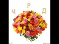 Честит Рожден Ден  Розичка