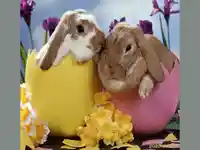 Великдени яйца със заици :)