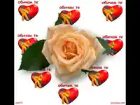 Любовта е живот!