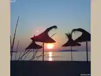 Джулай морнинг