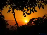 Джулай морнинг