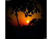 Джулай морнинг