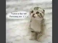 Липсваш ми ...