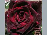 Честит имен ден Спаси