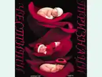 Честити тризнаци!