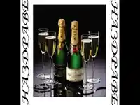 Вино Moet–компания!