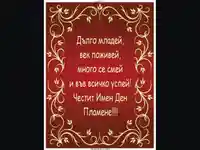 ЧИД - Пламен