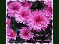 Честит Димитровден