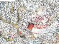 Коледна анимирана картичка1251