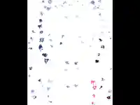 Коледна анимирана картичка1258