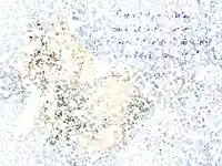 Коледна анимирана картичка1271