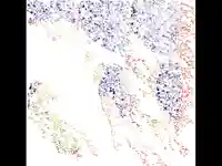 Анимирана Новогодишна Картичка