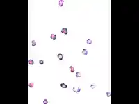 Анимирана Новогодишна Картичка