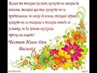 Честит имен ден Василка!!!