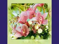 Орхидеи за осми март!