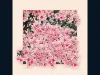 За твоя празник осми март!