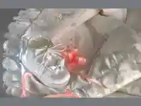 Честито Бебе/ Кръщене