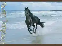 Честит Тодоровден!