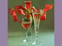 Една щастлива наздравица !