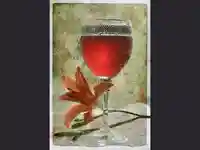 Наздраве с чаша червено вино!