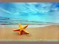 Морска звезда