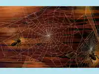 Картичка зловеща паяжина!