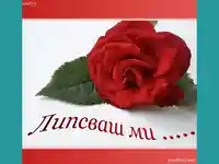 Липсваш ми ...