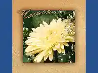 Честит Празник !