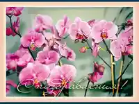 Честит Празник !