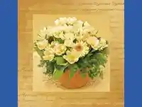 Цветница  Празник  на  Пролетта!