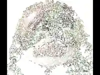 Коледна анимирана картичка!