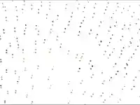 Коледна анимирана картичка!